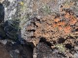 TBD Keating Gulch Road - Photo 18