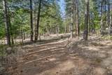 NHN Cove Drive - Photo 14