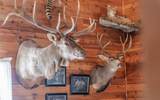 100 Remington Road - Photo 55