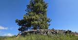 22756 Us Highway 93 - Photo 9