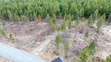 Nhn Lot #35 Osprey Loop - Photo 2