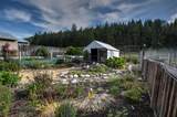 158 Trapper Creek Road - Photo 53