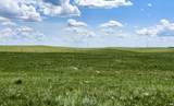 Lot 216 Tamarack Drive - Photo 2