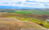 Nhn Eli Gap Road - Photo 1