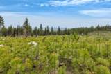 NHN Lot 8 Roaring Lion Road - Photo 12