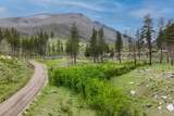 NHN Lot 8 Roaring Lion Road - Photo 17