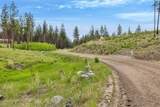 NHN Lot 8 Roaring Lion Road - Photo 22