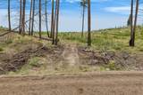 NHN Lot 8 Roaring Lion Road - Photo 24