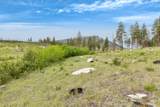 NHN Lot 8 Roaring Lion Road - Photo 27