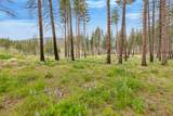 NHN Lot 8 Roaring Lion Road - Photo 28