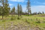 NHN Lot 8 Roaring Lion Road - Photo 29