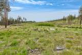 NHN Lot 8 Roaring Lion Road - Photo 30