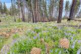 NHN Lot 8 Roaring Lion Road - Photo 34