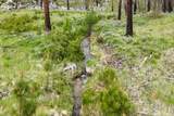 NHN Lot 8 Roaring Lion Road - Photo 36