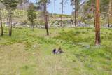 NHN Lot 8 Roaring Lion Road - Photo 42