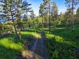 Nhn Lake Forest Drive - Photo 13