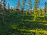 Nhn Lake Forest Drive - Photo 24