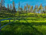 Nhn Lake Forest Drive - Photo 25