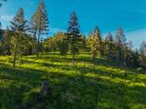 Nhn Lake Forest Drive - Photo 26