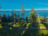 Nhn Lake Forest Drive - Photo 27