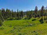 Nhn Lake Forest Drive - Photo 29