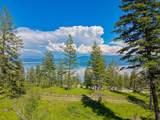 Nhn Lake Forest Drive - Photo 34
