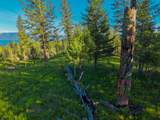 Nhn Lake Forest Drive - Photo 43