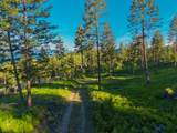 Nhn Lake Forest Drive - Photo 44