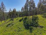 Nhn Lake Forest Drive - Photo 56