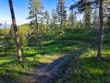 Nhn Lake Forest Drive - Photo 66
