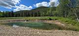 8 Tract Hall Creek - Photo 14