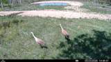 8 Tract Hall Creek - Photo 16