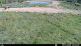 8 Tract Hall Creek - Photo 18