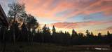 8 Tract Hall Creek - Photo 3