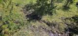 8 Tract Hall Creek - Photo 8