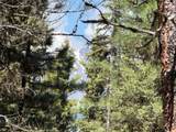 NHN Bobcat Lane - Photo 13