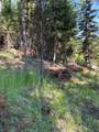 1015 Lodgepole Drive - Photo 19