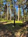 1015 Lodgepole Drive - Photo 25