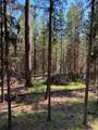 1015 Lodgepole Drive - Photo 26