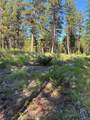 1015 Lodgepole Drive - Photo 27