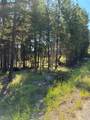 1015 Lodgepole Drive - Photo 28