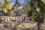 3180 Browns Meadow Road - Photo 14