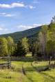 3180 Browns Meadow Road - Photo 28