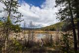 3180 Browns Meadow Road - Photo 62