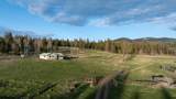 3180 Browns Meadow Road - Photo 74