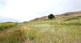 Homesite 25 Stone Horse Drive - Photo 5