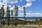 16 Mule Deer Lane - Photo 6