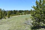 16 Mule Deer Lane - Photo 7