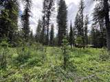 768 Deep Woods Trail - Photo 1