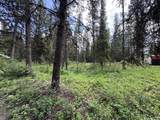 768 Deep Woods Trail - Photo 2